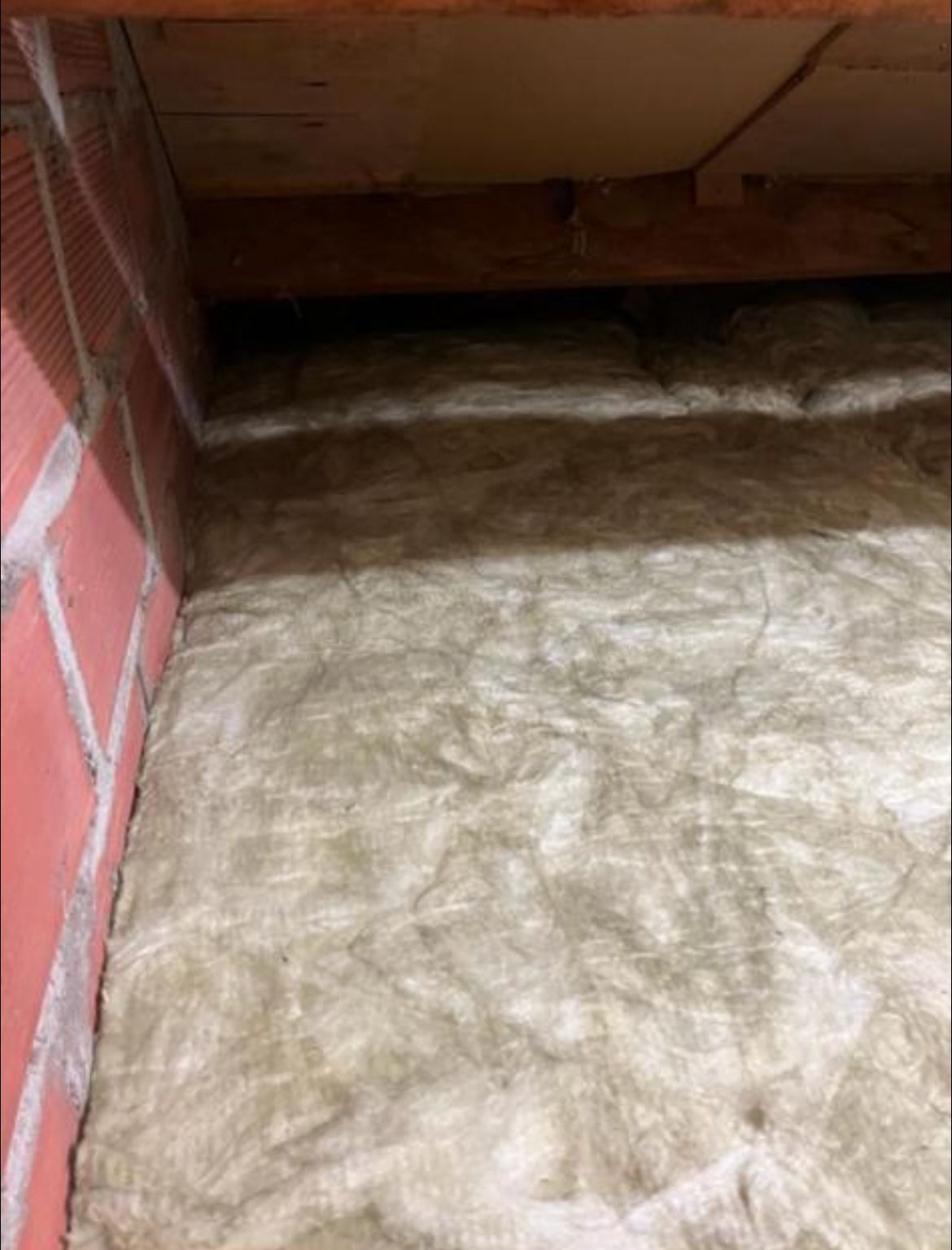 Image7