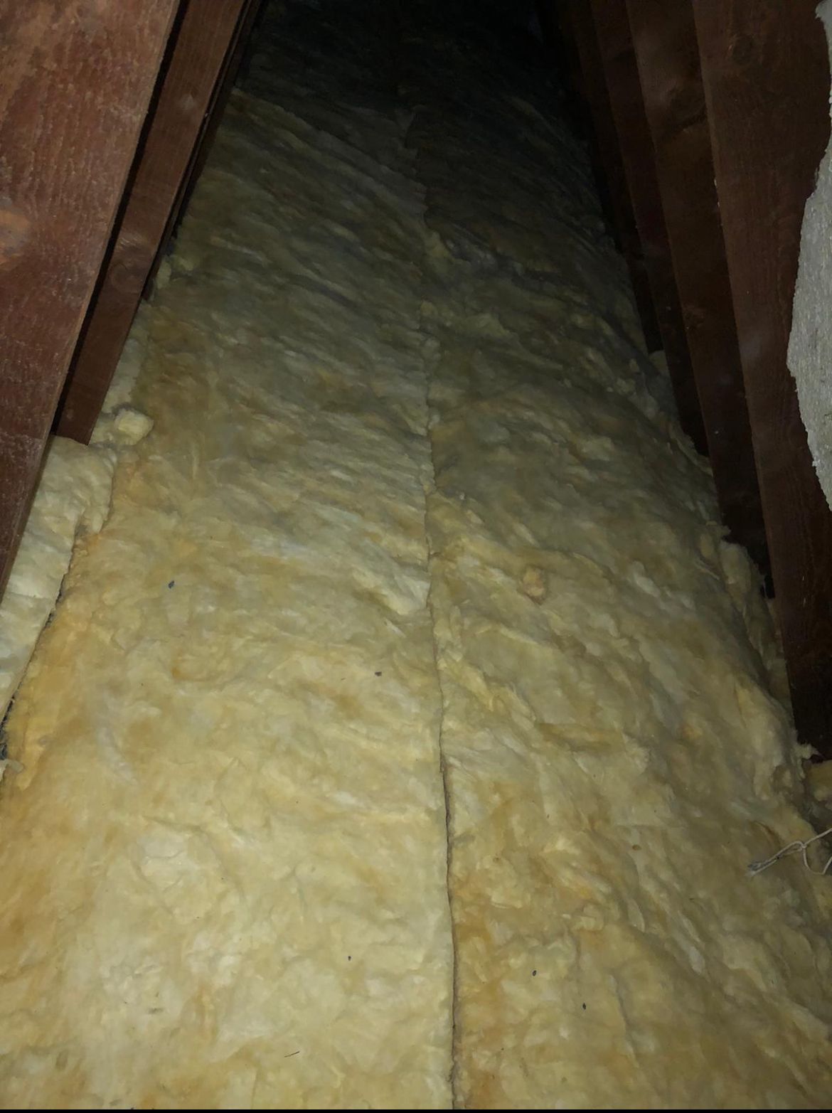 Image4